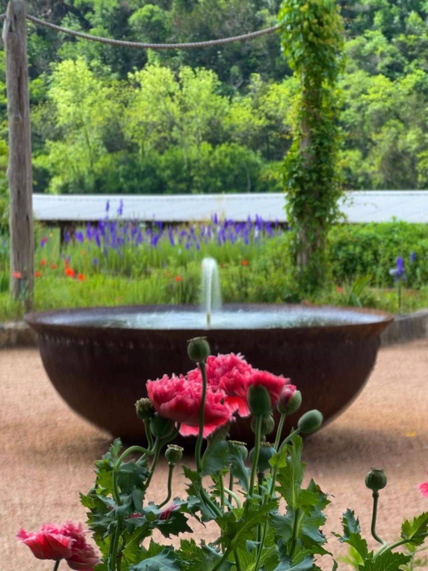 Lake Austin Spa Resort Buitenkant foto